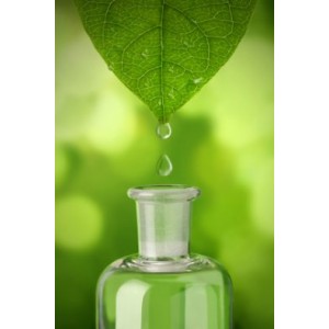 GreenBeam Monats Pack