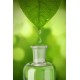 GreenBeam Monats Pack